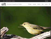 Tablet Screenshot of afotoledo.com